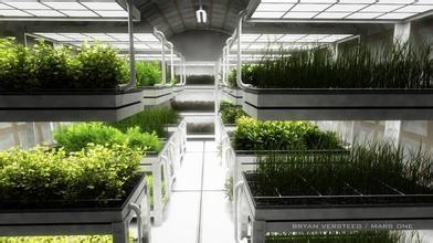 綠植基地