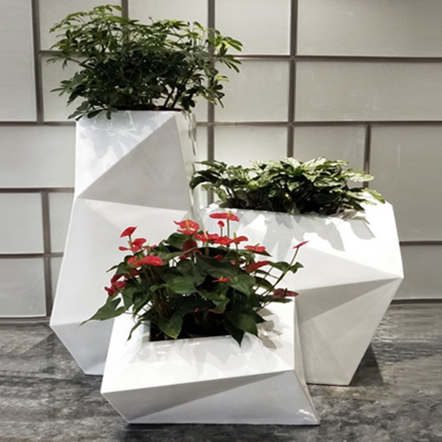 植物組合