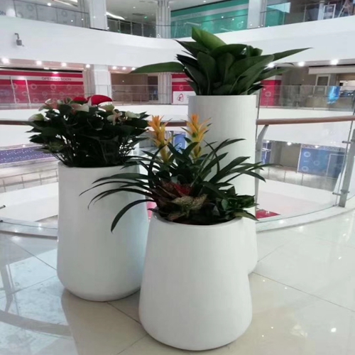 植物組合